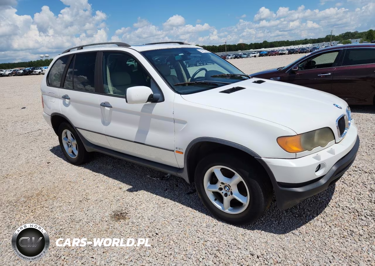 2001 BMW X5 3.0I VIN:WBAFA53581LM64730 - 4