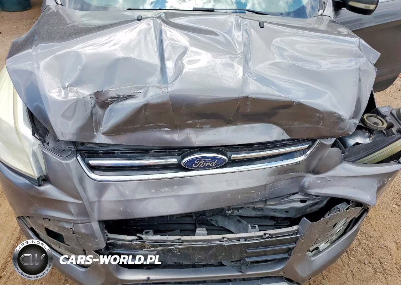 2013 Ford Escape Sel VIN:1FMCU0HXXDUC91393 - 12