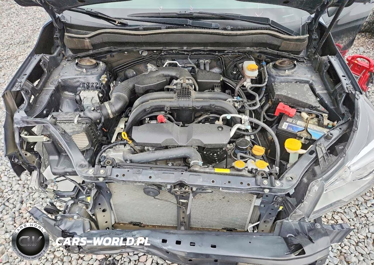 2017 Subaru Forester 2.5I VIN:JF2SJABC1HH480275 - 12