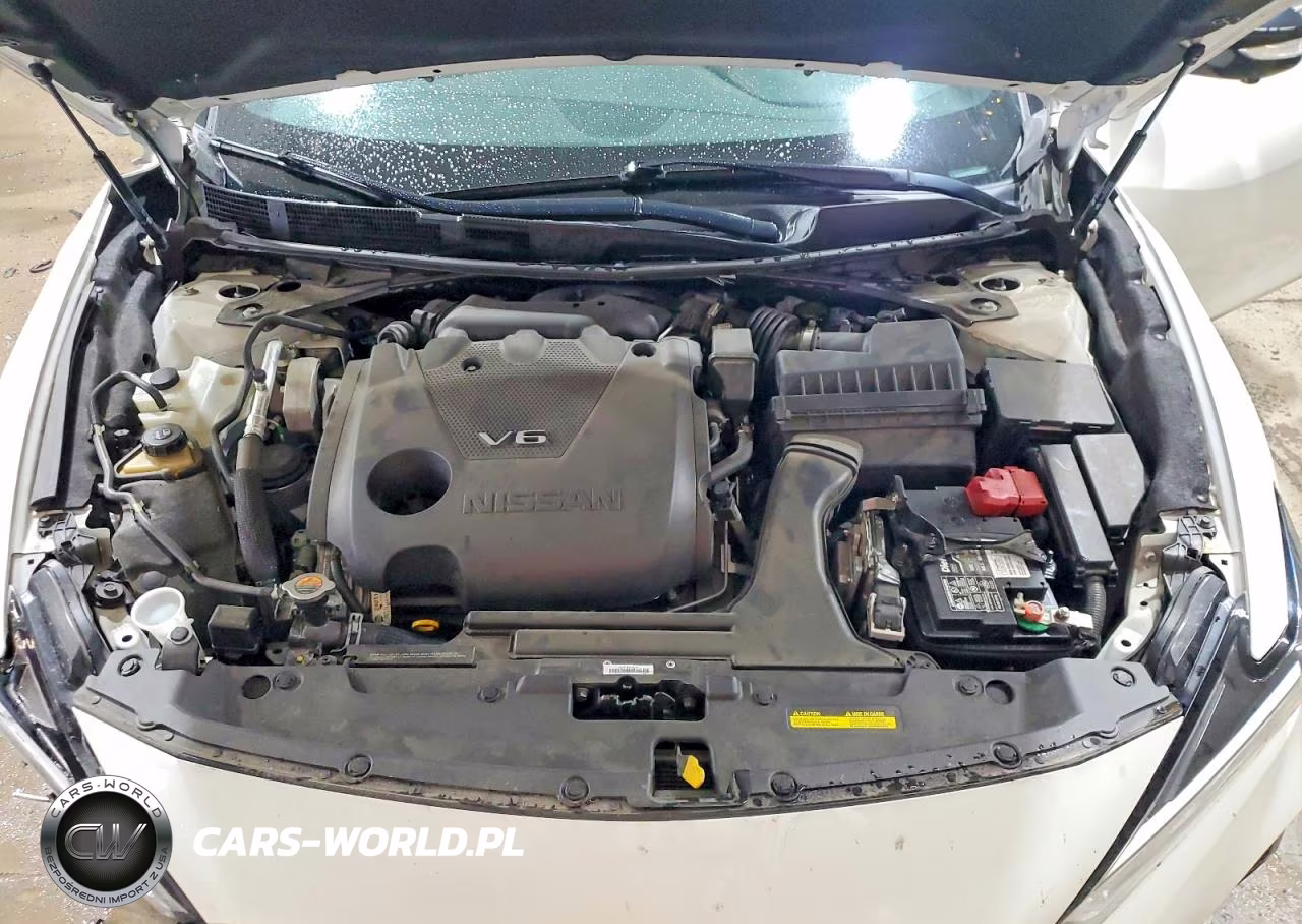 2021 Nissan Maxima Sr VIN:1N4AA6EV2MC508845 - 11