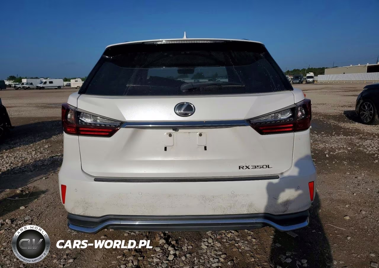 2019 Lexus Rx 350 L VIN:JTJGZKCA3K2010160 - 6