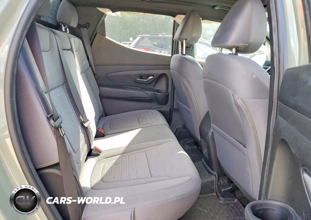 2023 Hyundai Santa Cruz Sel Premium VIN:5NTJDDAF4PH051289 - 10