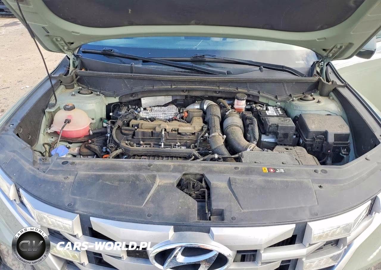 2023 Hyundai Santa Cruz Sel Premium VIN:5NTJDDAF4PH051289 - 11