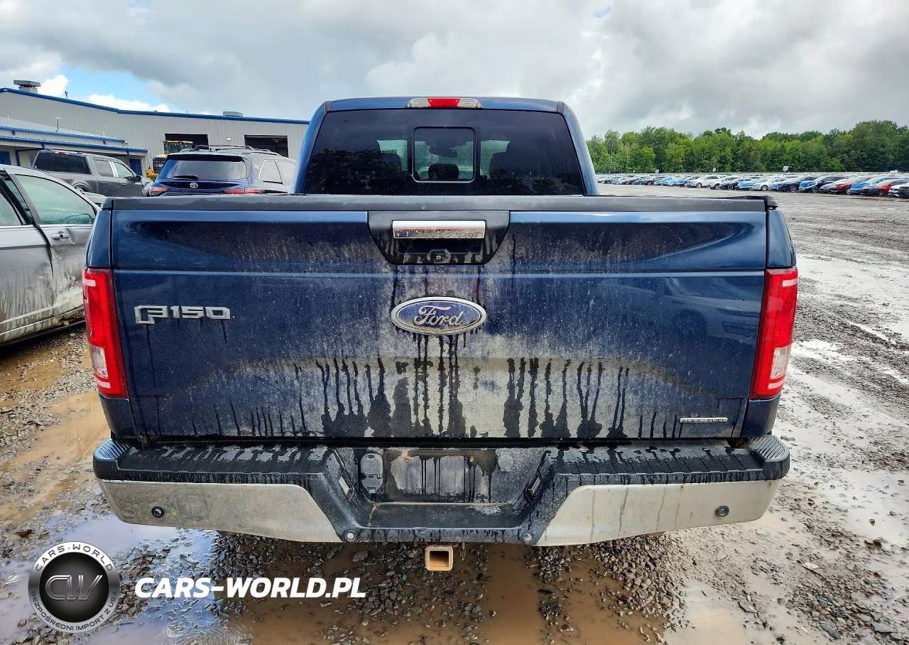 2015 Ford F150 Supercrew VIN:1FTFW1EF1FFC08132 - 6