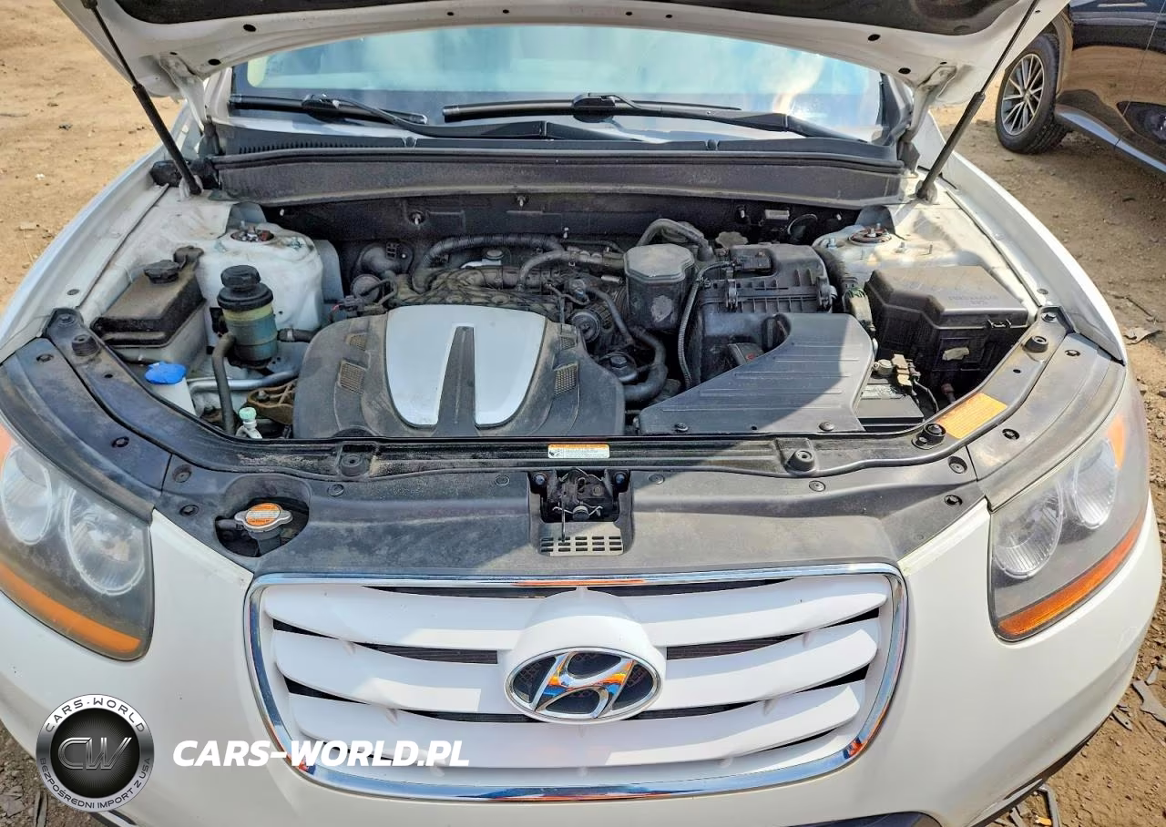 2011 Hyundai Santa Fe Limited VIN:5XYZKDAG6BG061872 - 12