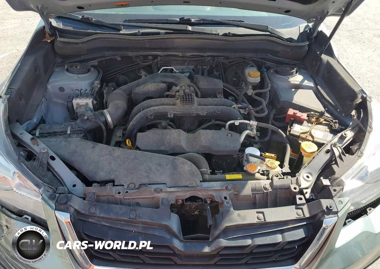 2018 Subaru Forester 2.5I Limited VIN:JF2SJAJC1JH413103 - 11