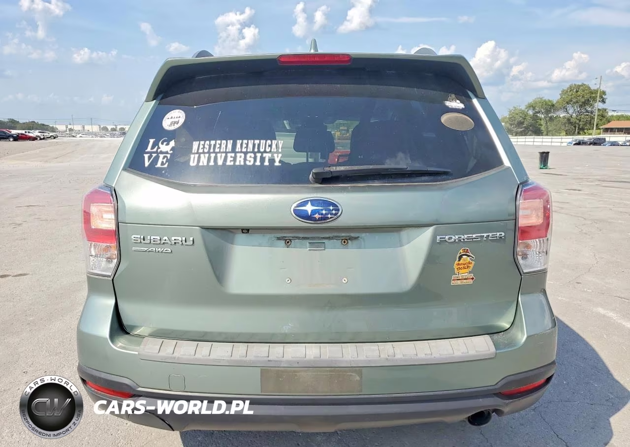 2018 Subaru Forester 2.5I Limited VIN:JF2SJAJC1JH413103 - 6