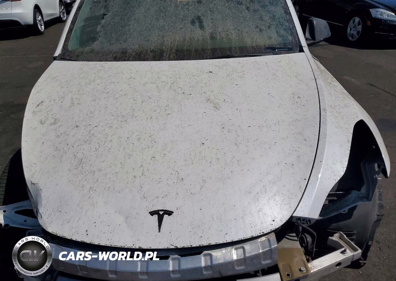 2021 Tesla Model Y VIN:5YJYGDEE5MF267801 - 11