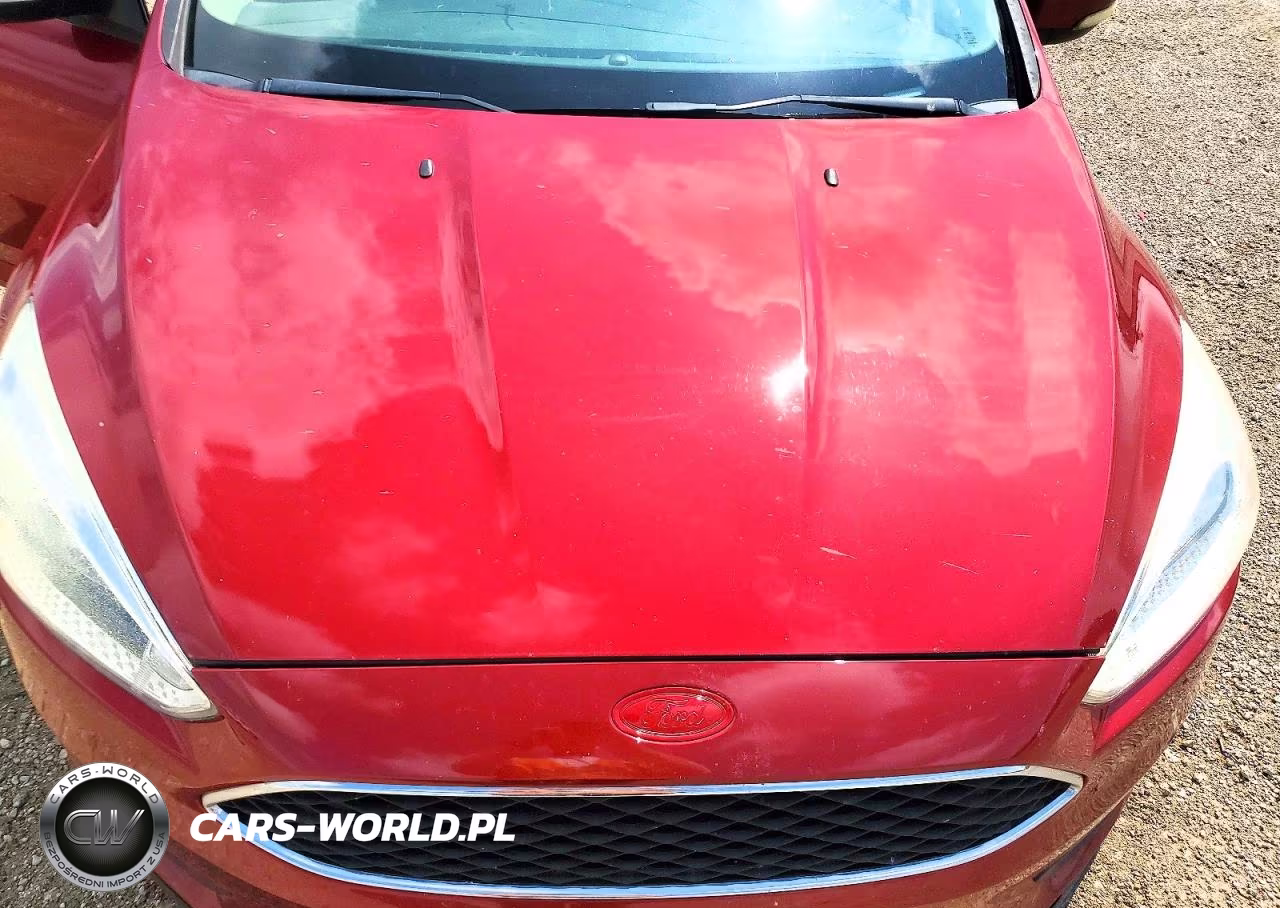 2016 Ford Focus Se VIN:1FADP3K23GL314110 - 12
