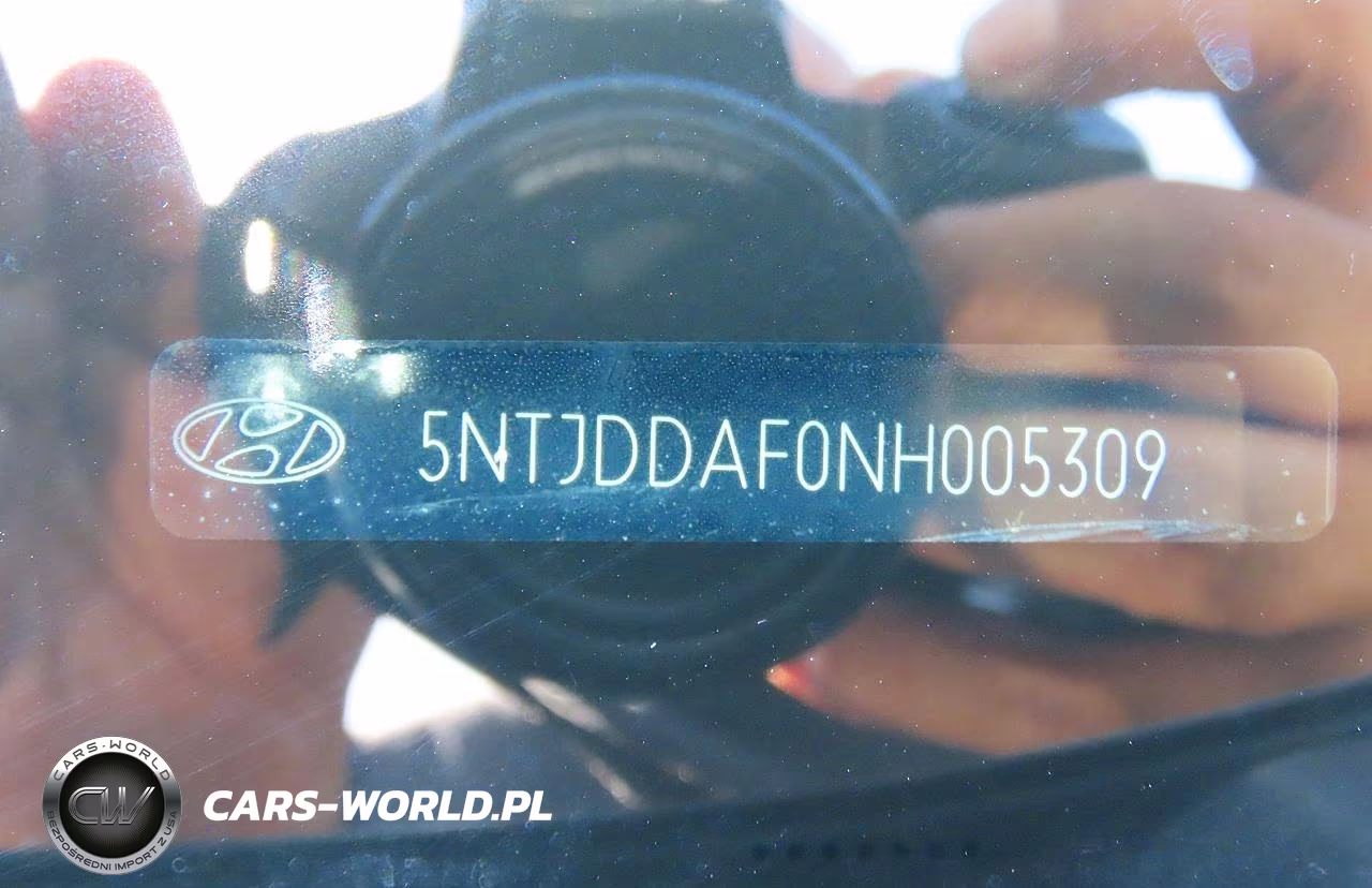 2022 Hyundai Santa Cruz Sel Premium VIN:5NTJDDAF0NH005309 - 10