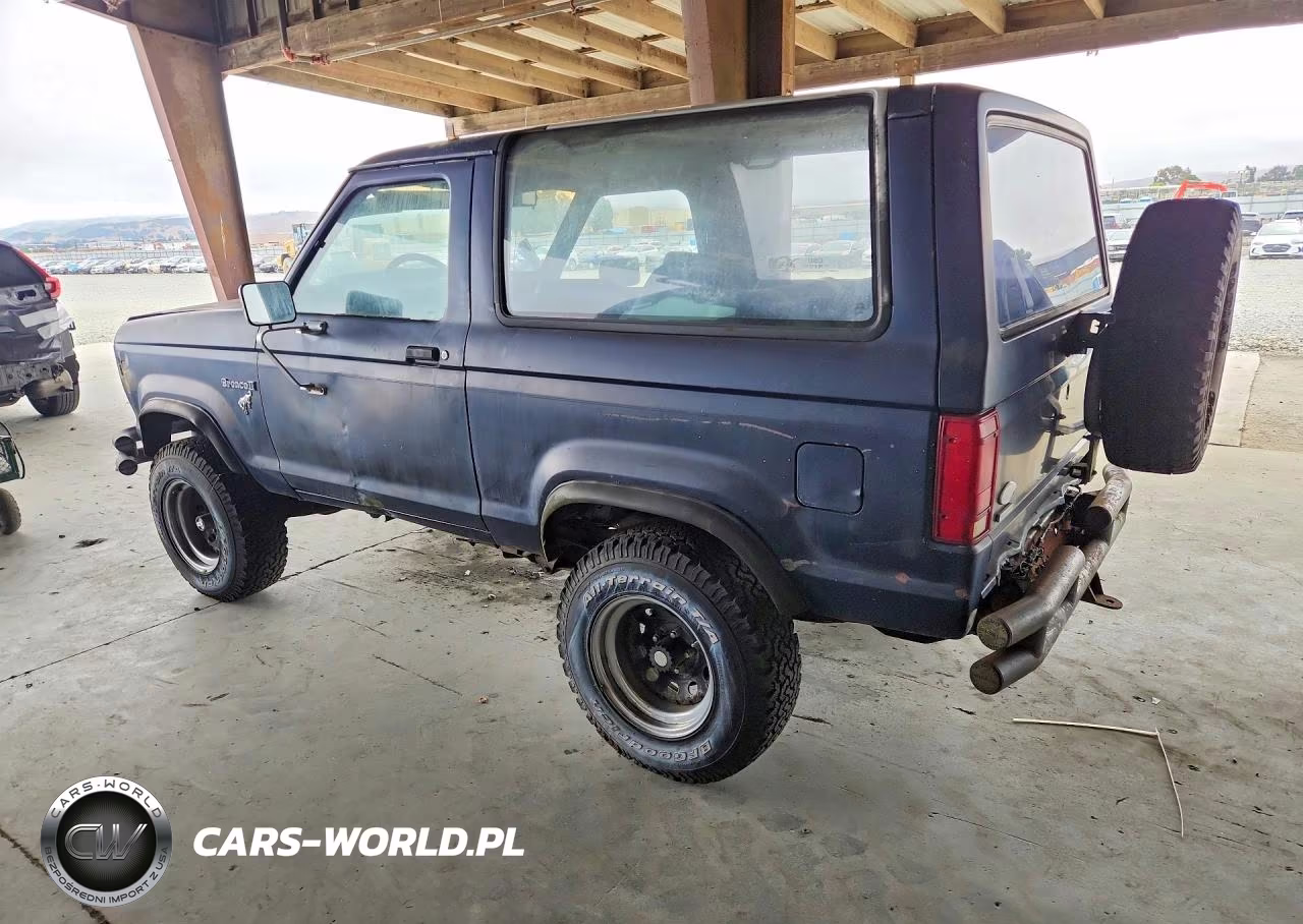 1985 Ford Bronco Ii VIN:1FMBU14S1FUC61603 - 2