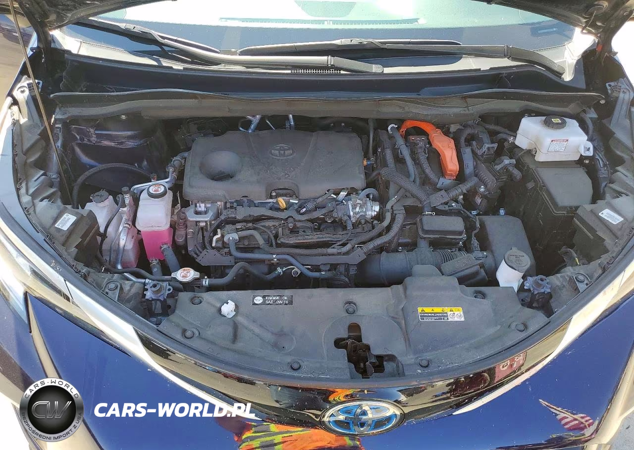2024 Toyota Sienna Xse 7-Passenger VIN:5TDCSKFC1RS139262 - 12