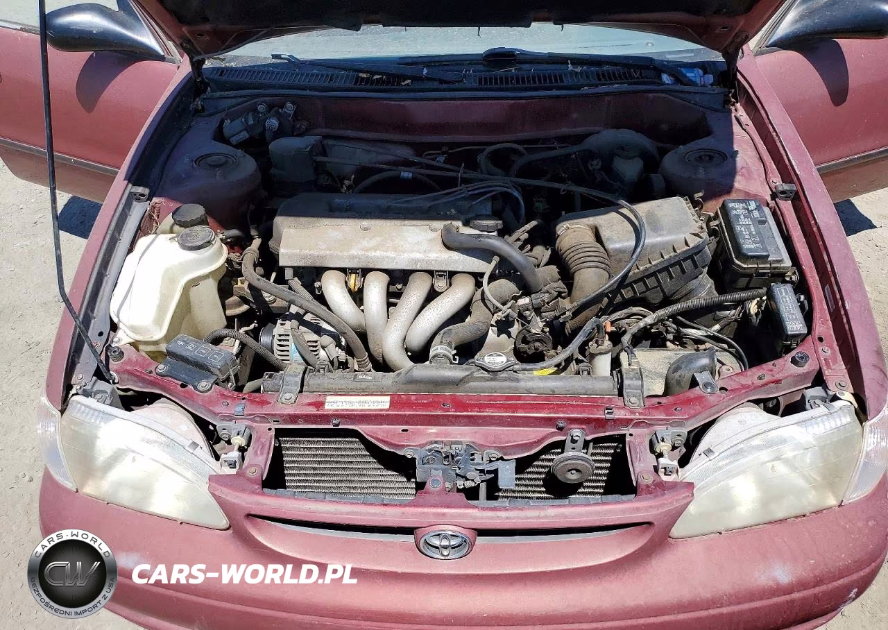 1999 Toyota Corolla Ve VIN:1NXBR12E2XZ212300 - 11