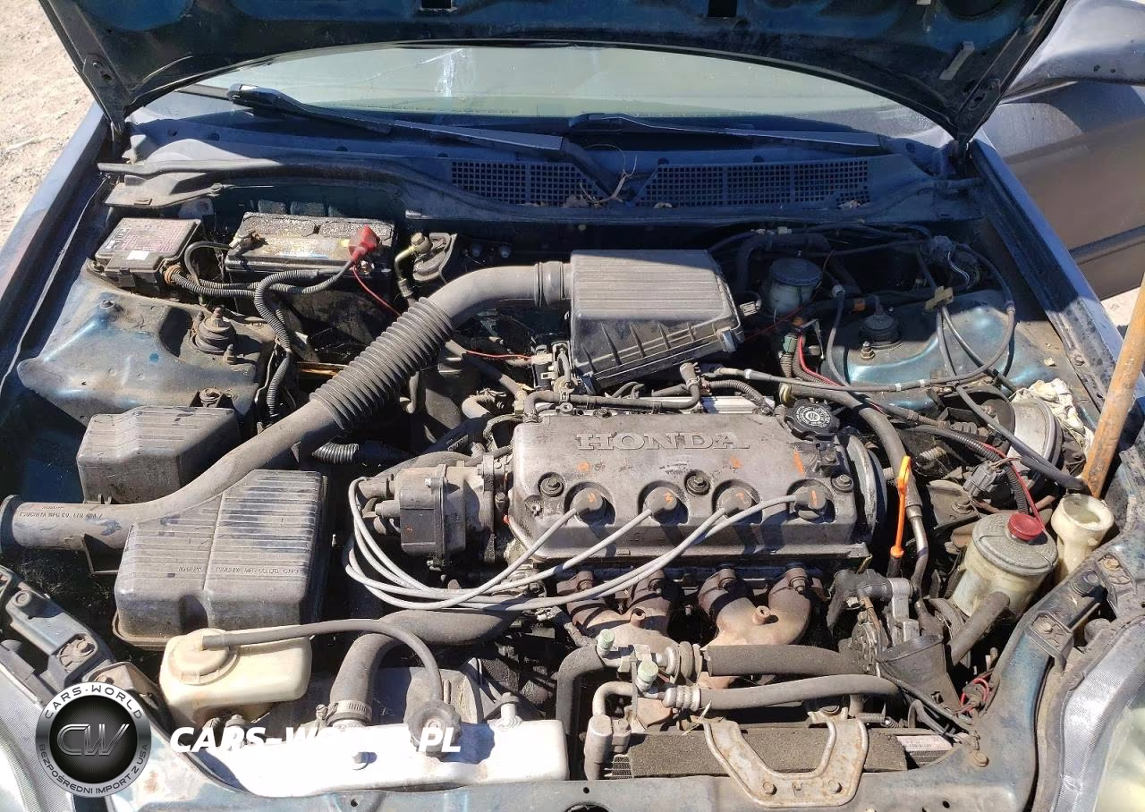 1998 Honda Civic Lx VIN:JHMEJ6678WS015061 - 11