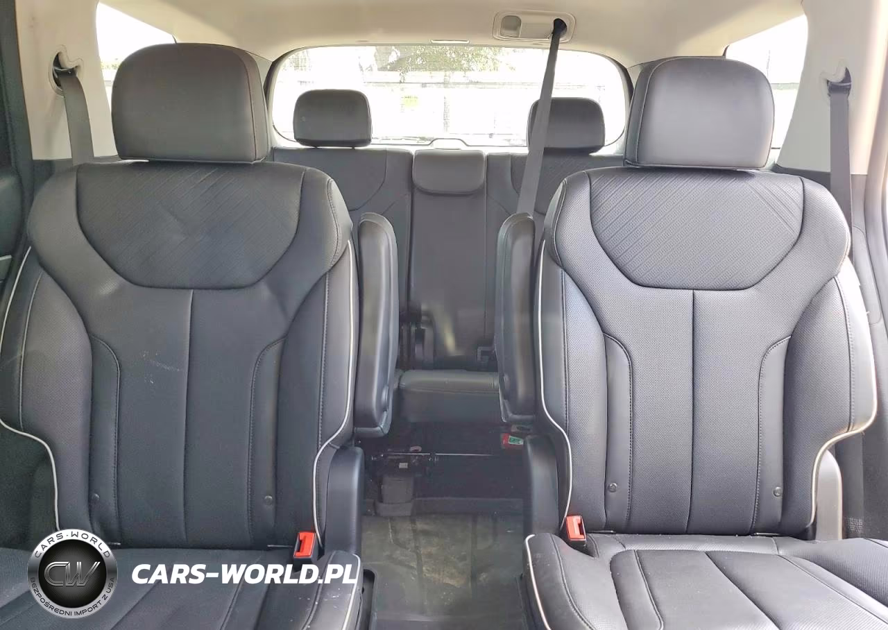2024 Hyundai Palisade Xrt VIN:KM8R34GE4RU699786 - 10
