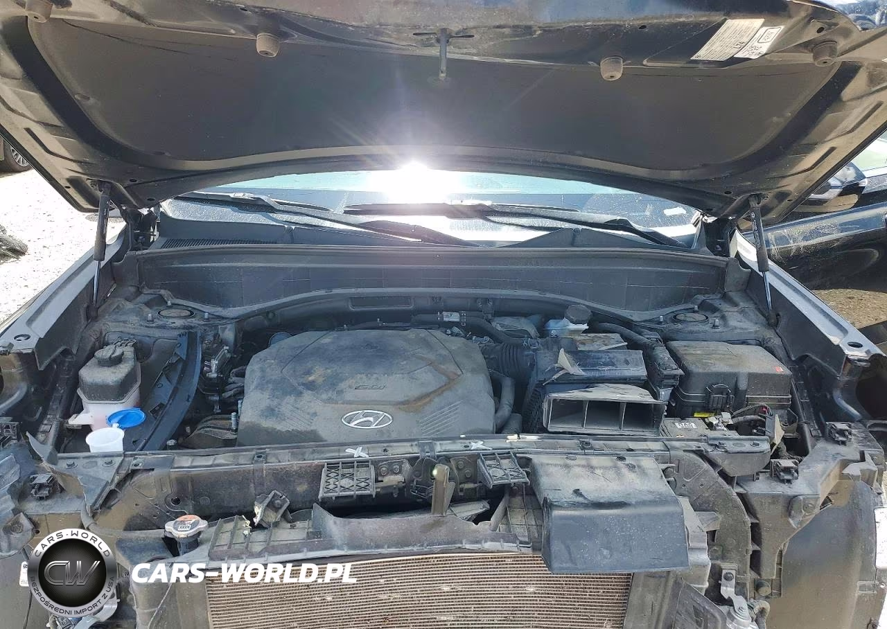 2024 Hyundai Palisade Xrt VIN:KM8R34GE4RU699786 - 12