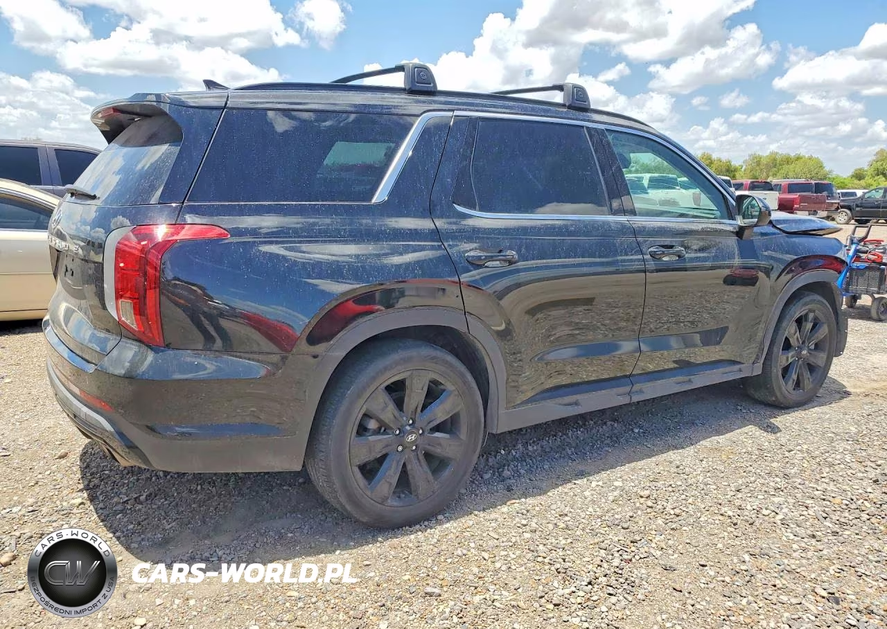 2024 Hyundai Palisade Xrt VIN:KM8R34GE4RU699786 - 3