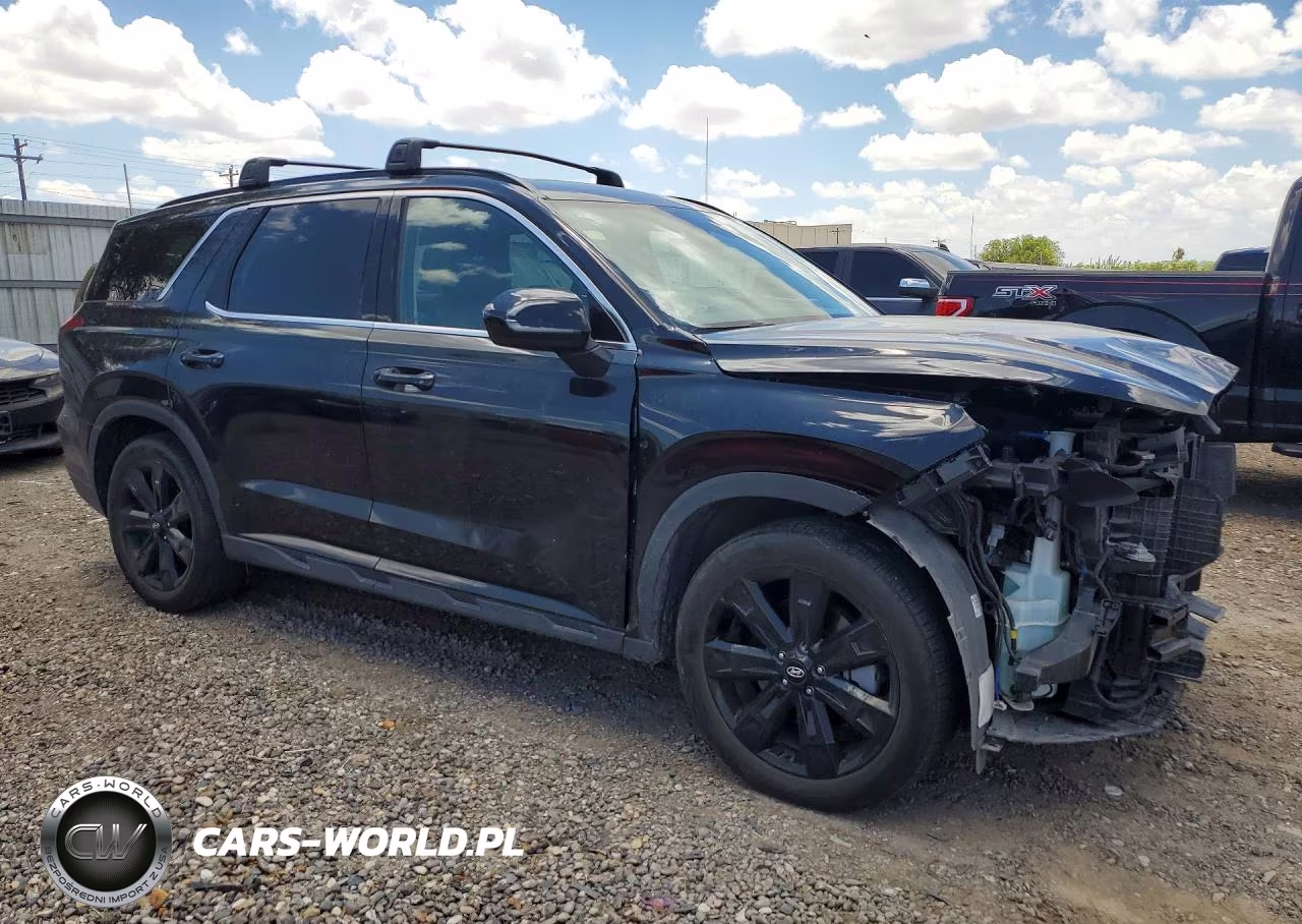 2024 Hyundai Palisade Xrt VIN:KM8R34GE4RU699786 - 4