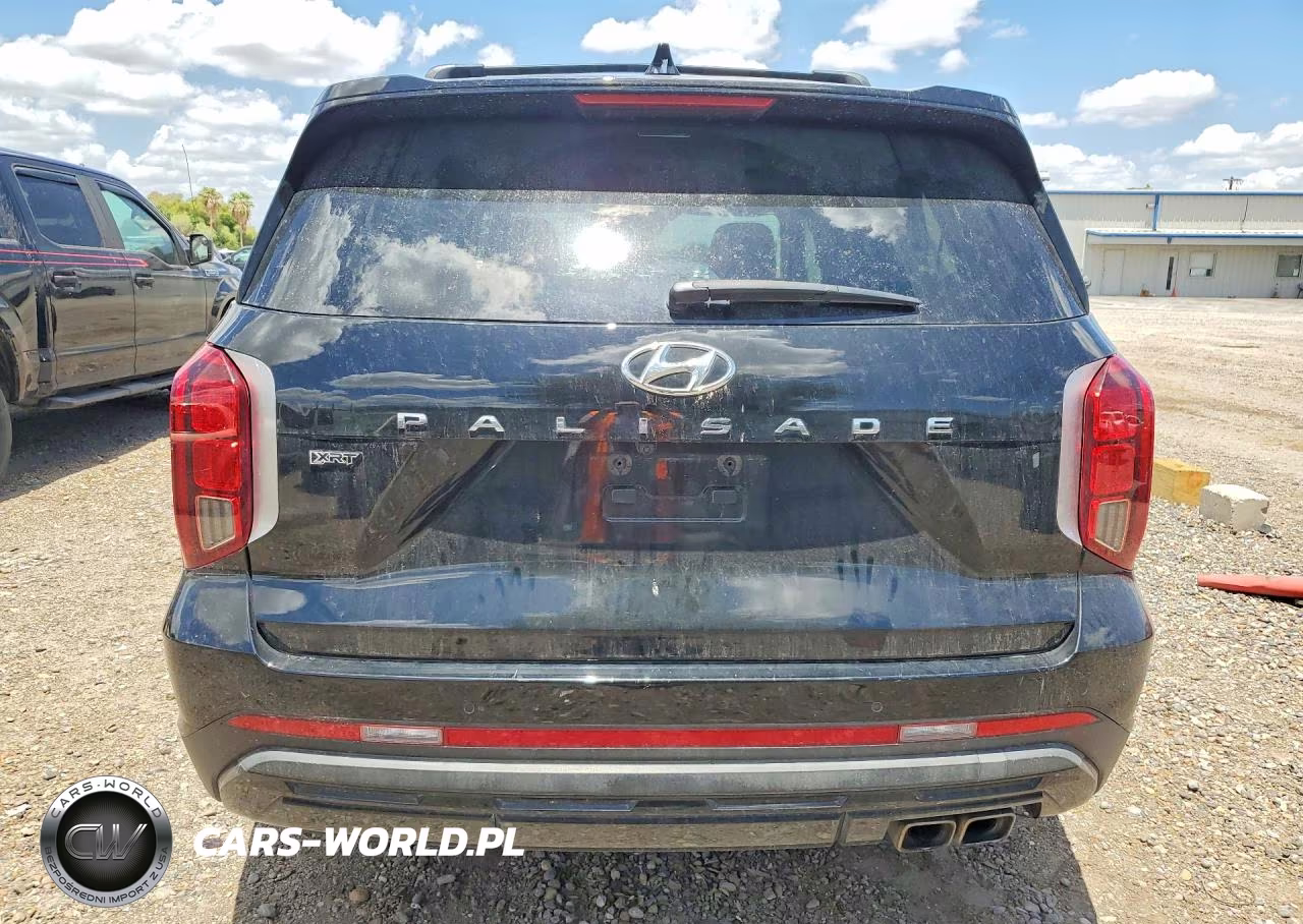 2024 Hyundai Palisade Xrt VIN:KM8R34GE4RU699786 - 6