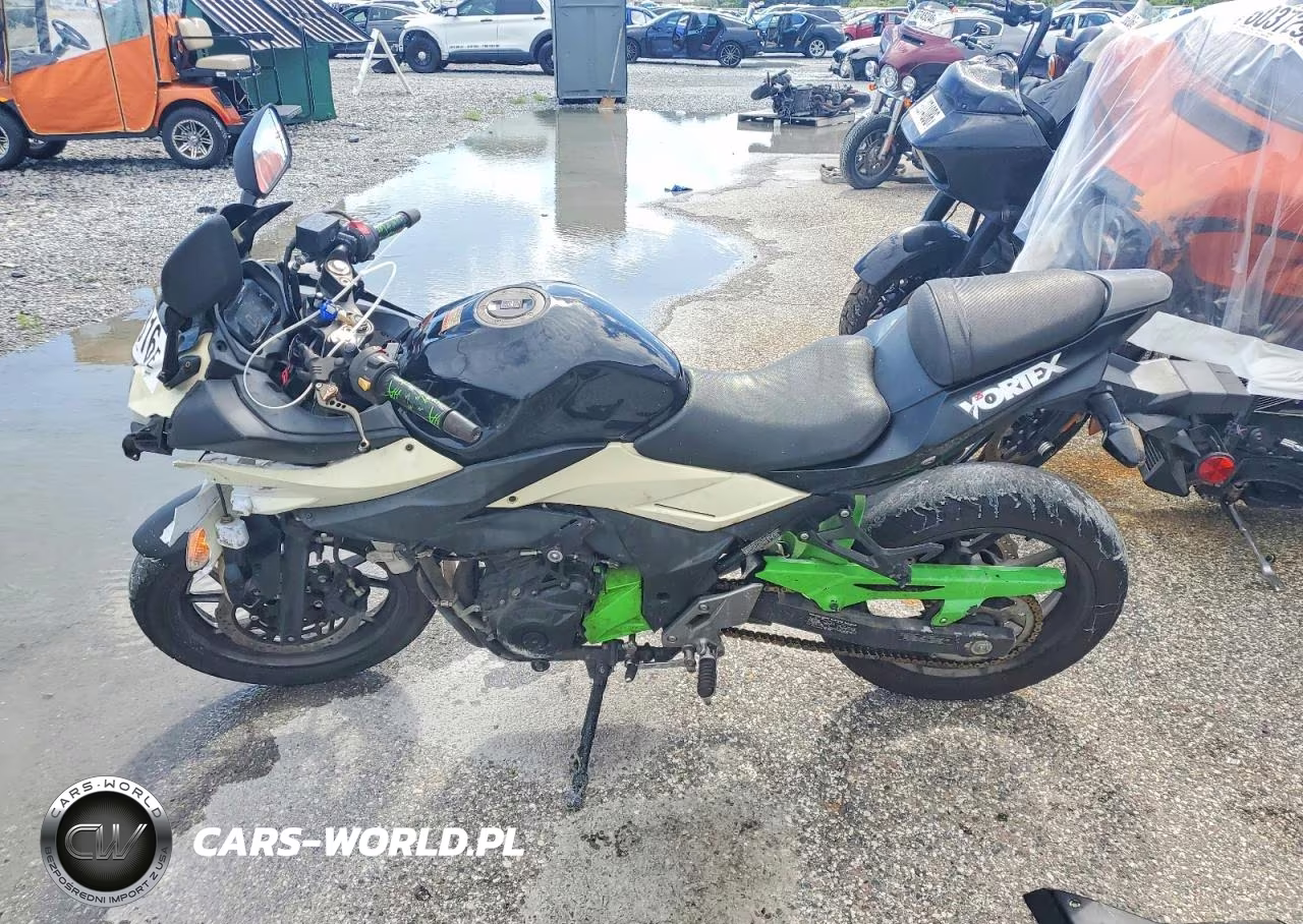 2018 Suzuki Gsx250R VIN:LC6DN11A0J1100672 - 3