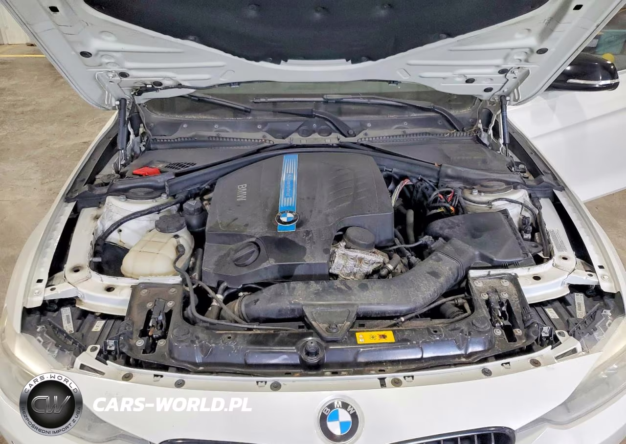 2013 BMW Activehybrid 3 VIN:WBA3F9C57DF484448 - 11