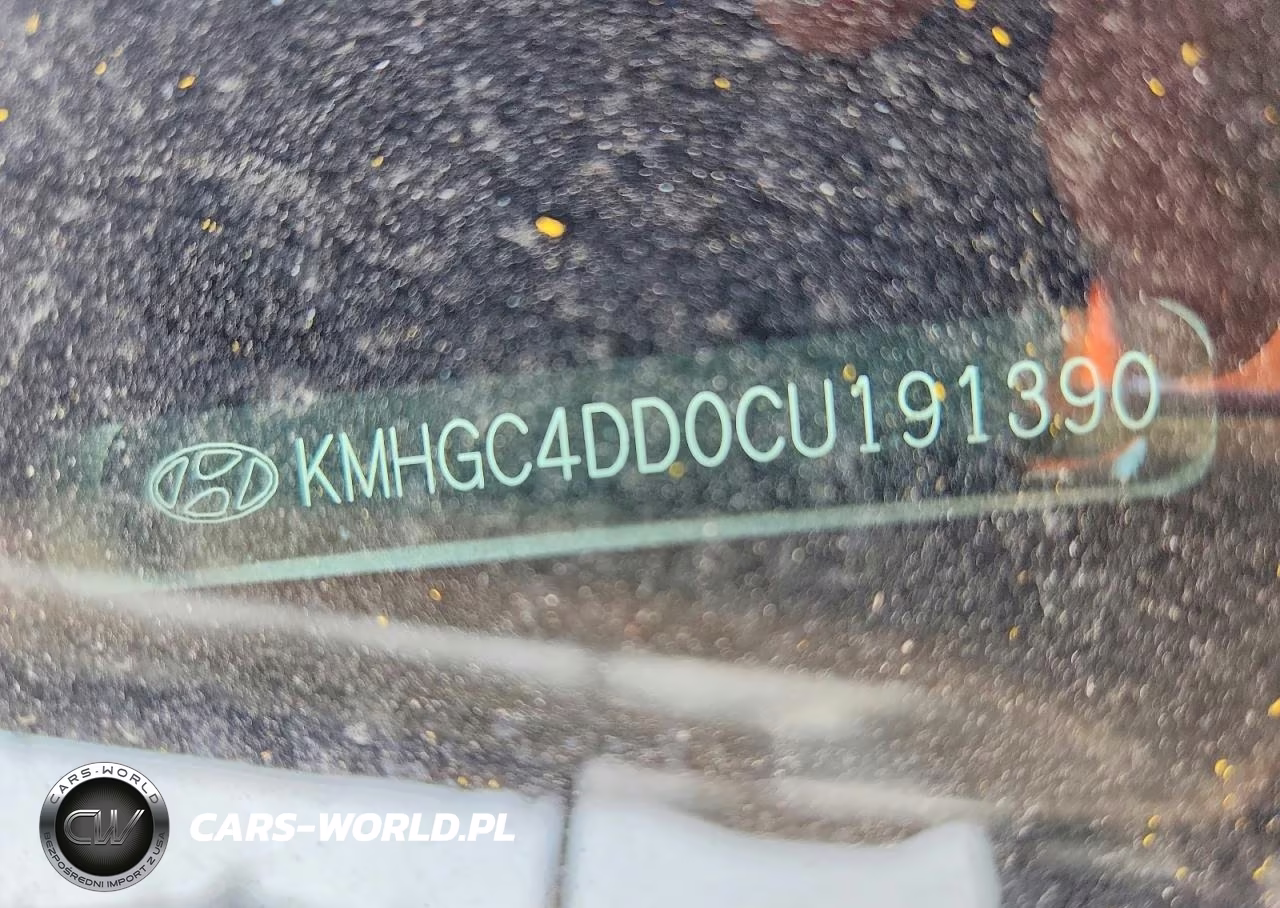 2012 Hyundai Genesis 3.8L VIN:KMHGC4DD0CU191390 - 12