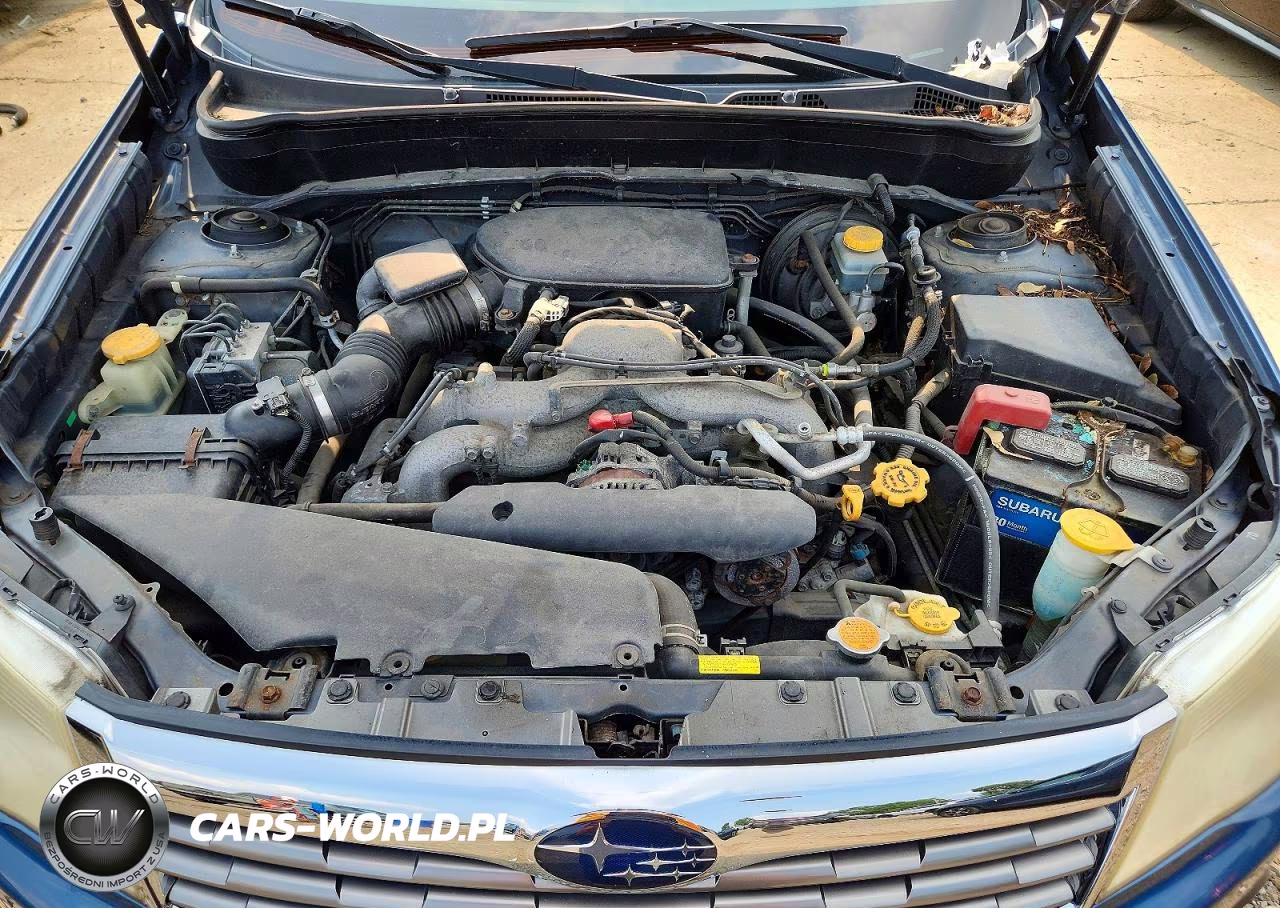 2010 Subaru Forester 2.5X Premium VIN:JF2SH6CC1AH785790 - 11