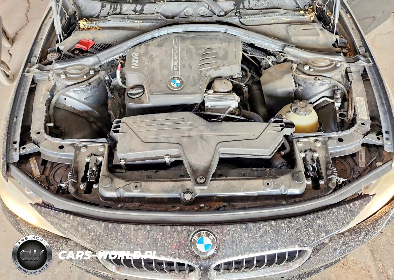 2014 BMW 320 I VIN:WBA3B1C54EK134555 - 11