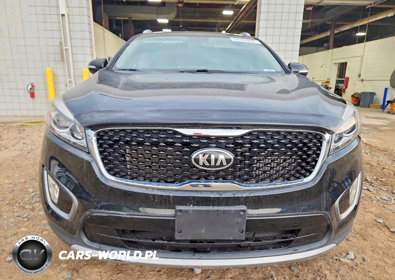 2016 Kia Sorento Ex VIN:5XYPHDA19GG009838 - 5