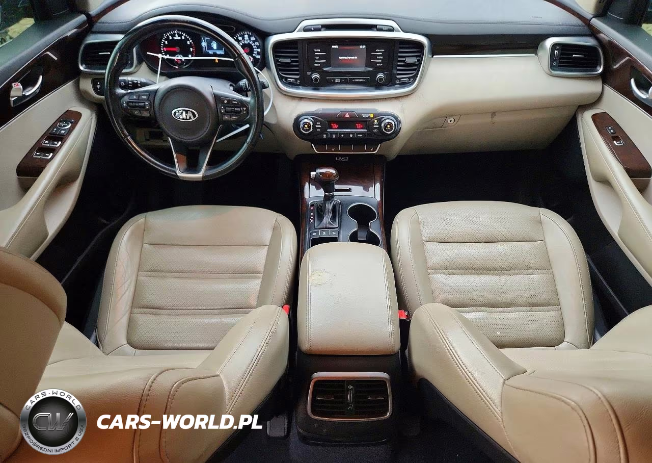 2016 Kia Sorento Ex VIN:5XYPHDA19GG009838 - 8