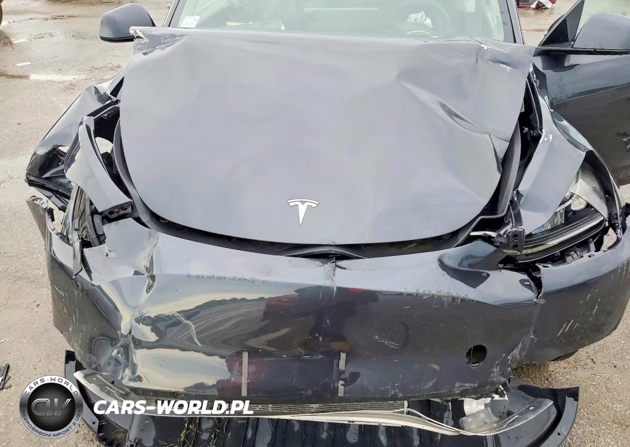 2024 Tesla Model Y VIN:7SAYGDED3RF088867 - 11