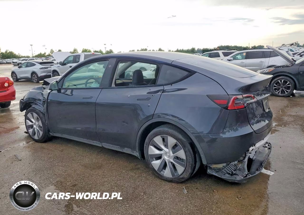 2024 Tesla Model Y VIN:7SAYGDED3RF088867 - 2