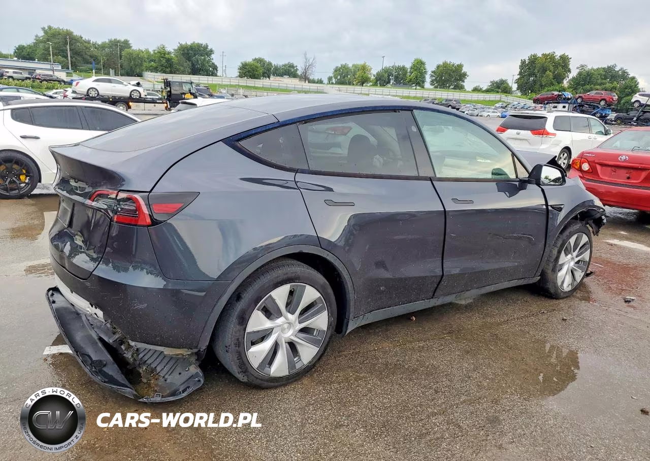 2024 Tesla Model Y VIN:7SAYGDED3RF088867 - 3