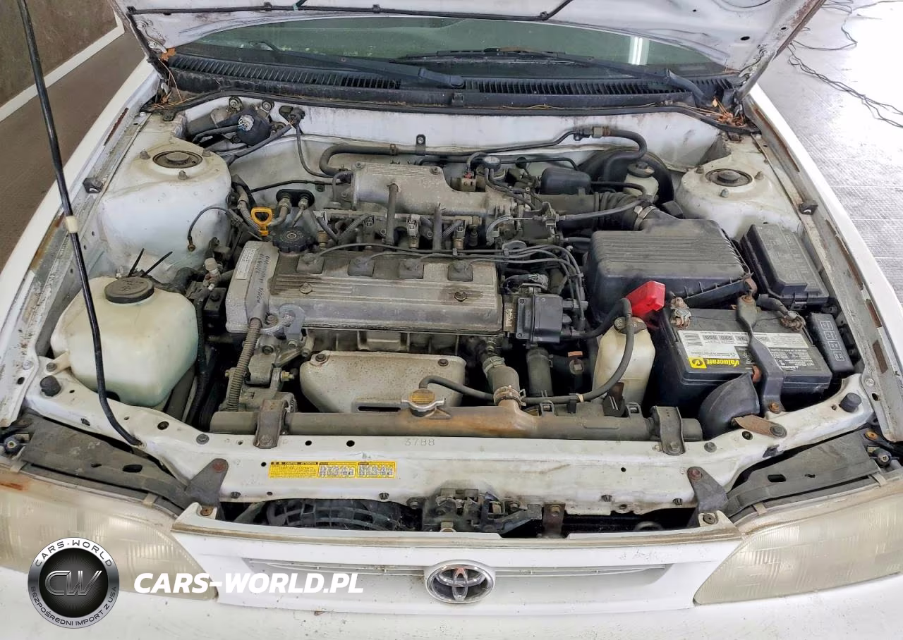 1996 Toyota Corolla Base VIN:2T1BA02E5TC112172 - 11