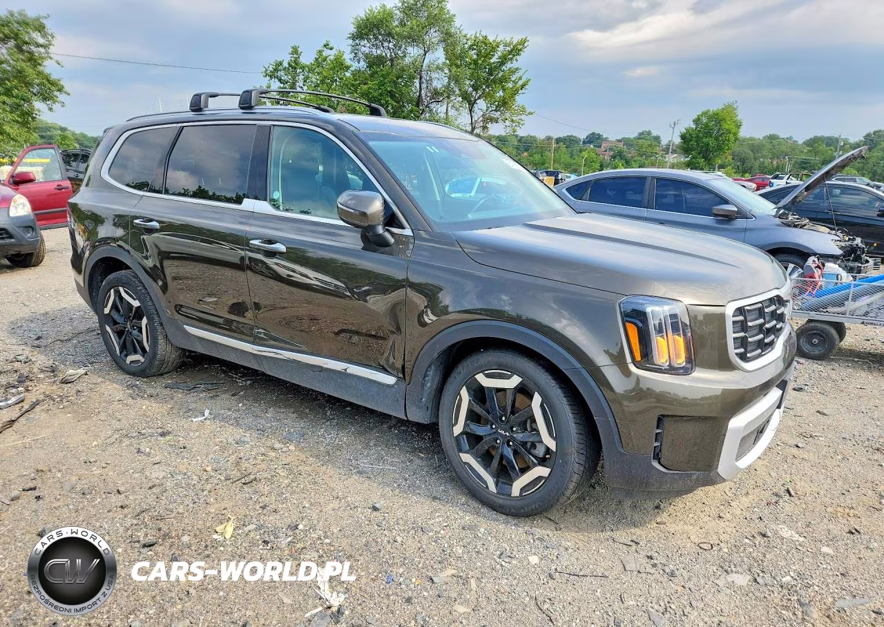 2025 Kia Telluride S VIN:5XYP6DGC0SG585874 - 4