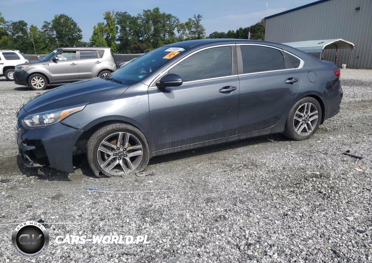 2019 Kia Forte Ex