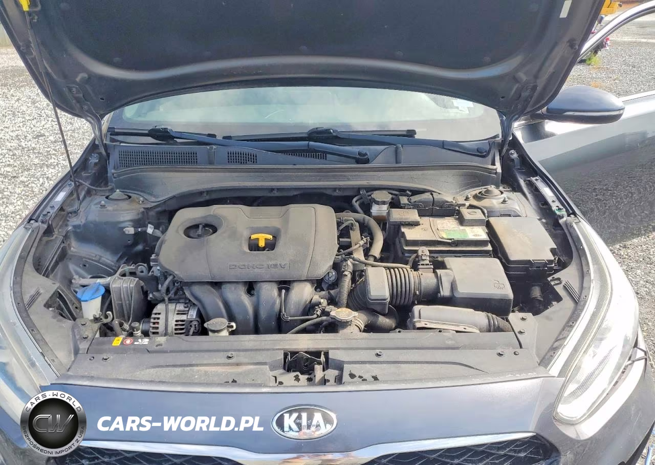 2019 Kia Forte Ex VIN:3KPF54AD3KE037073 - 11