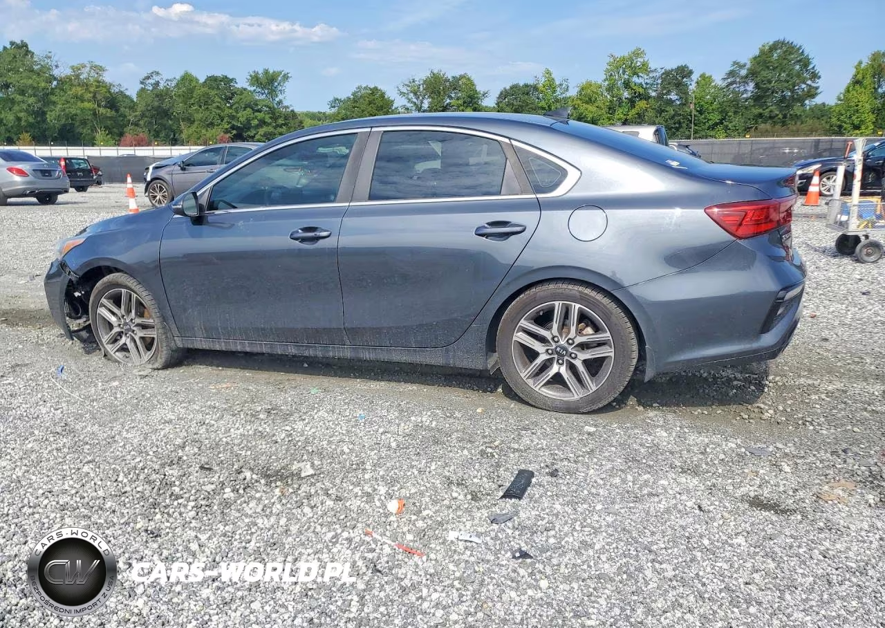 2019 Kia Forte Ex VIN:3KPF54AD3KE037073 - 2