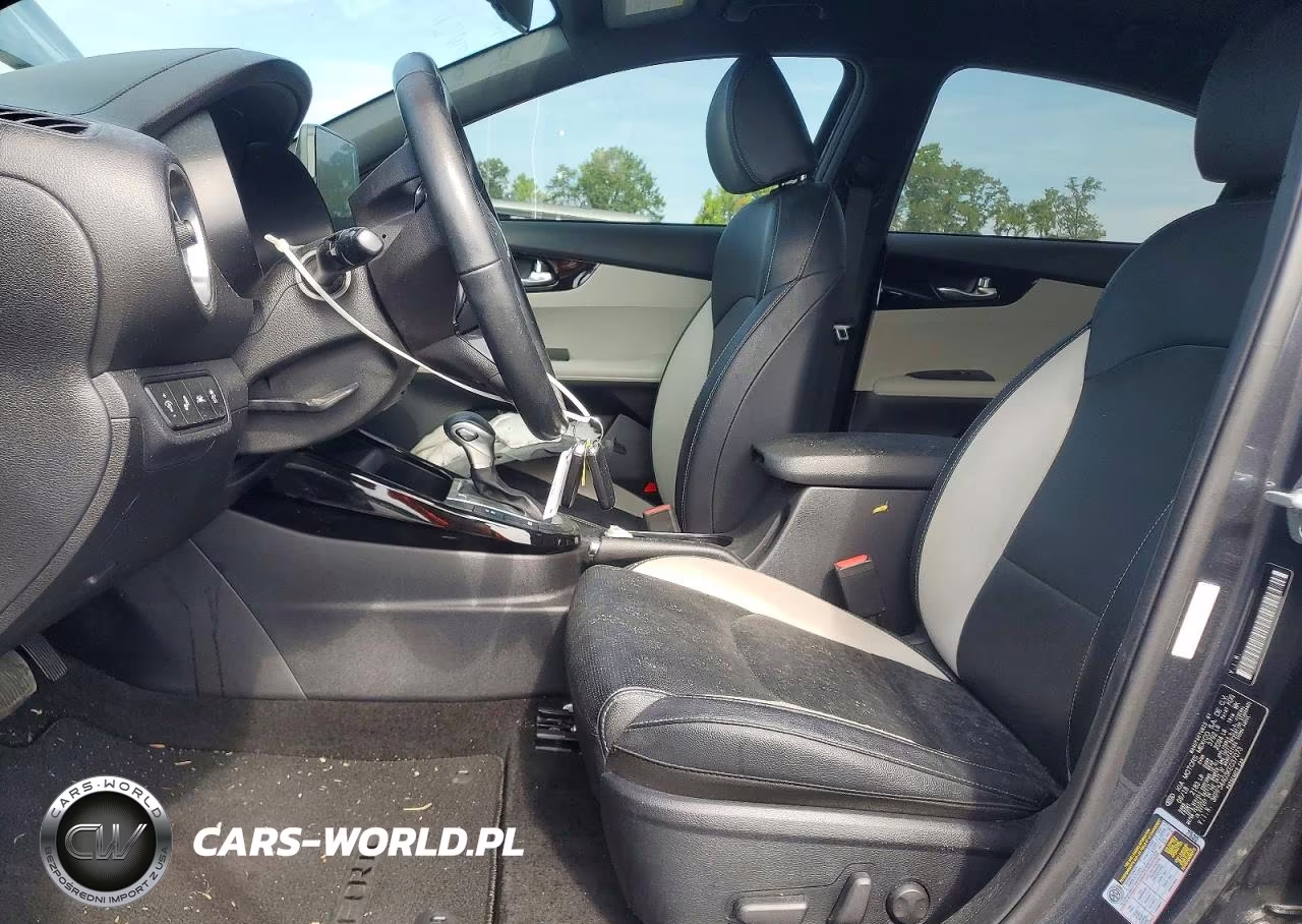 2019 Kia Forte Ex VIN:3KPF54AD3KE037073 - 7