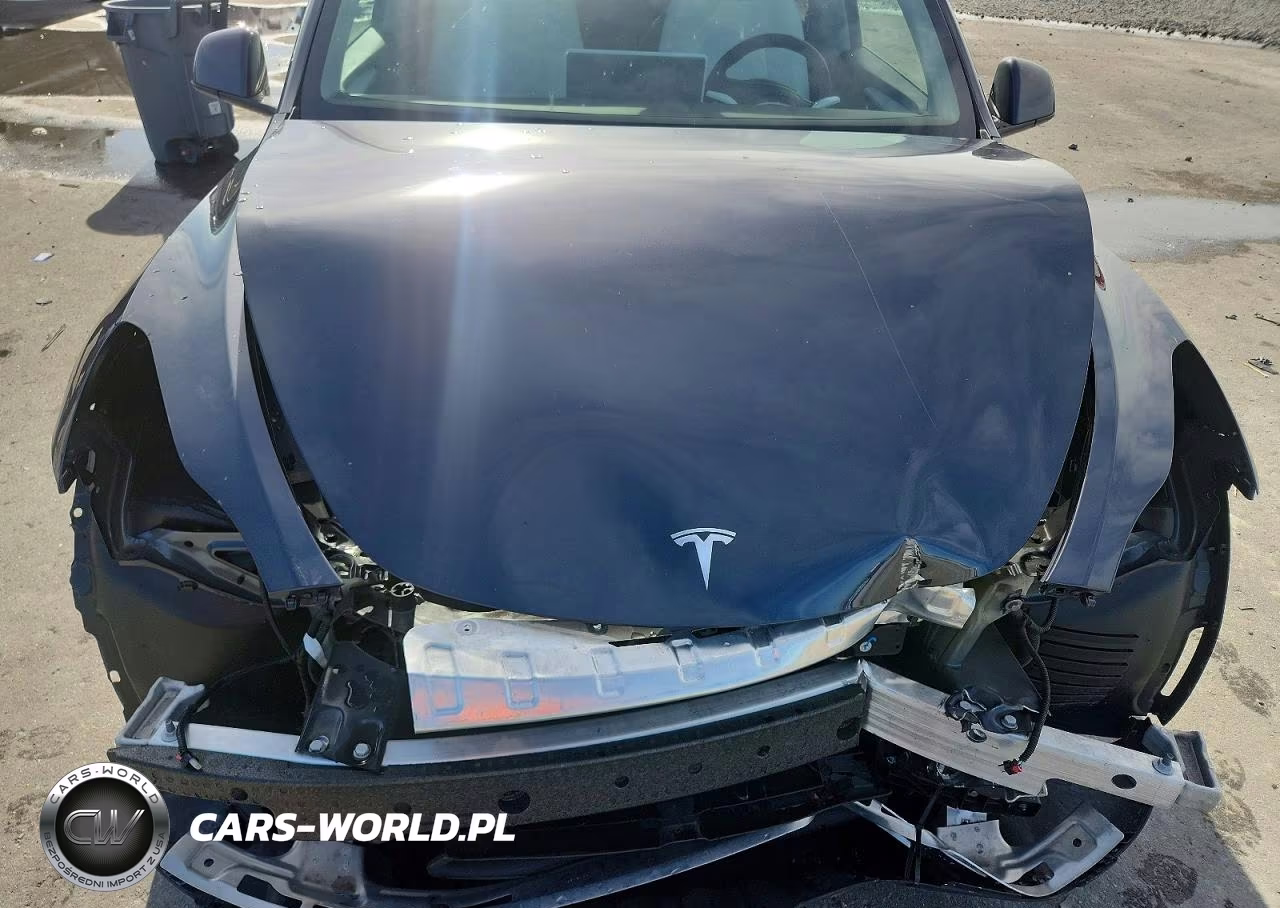 2024 Tesla Model Y VIN:7SAYGDED3RA327010 - 11
