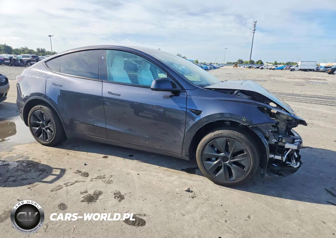 2024 Tesla Model Y VIN:7SAYGDED3RA327010 - 4