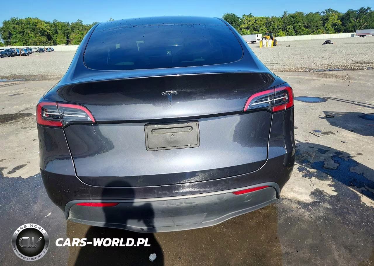 2024 Tesla Model Y VIN:7SAYGDED3RA327010 - 6