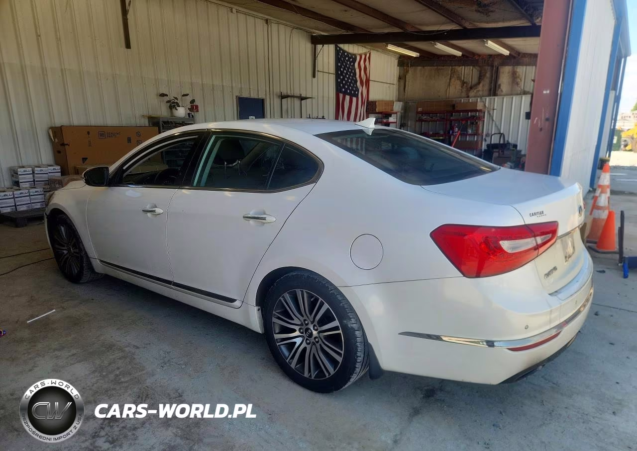 2014 Kia Cadenza Premium VIN:KNALN4D73E5164105 - 2