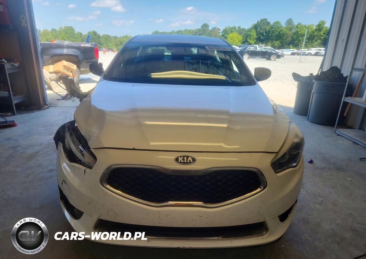2014 Kia Cadenza Premium VIN:KNALN4D73E5164105 - 5