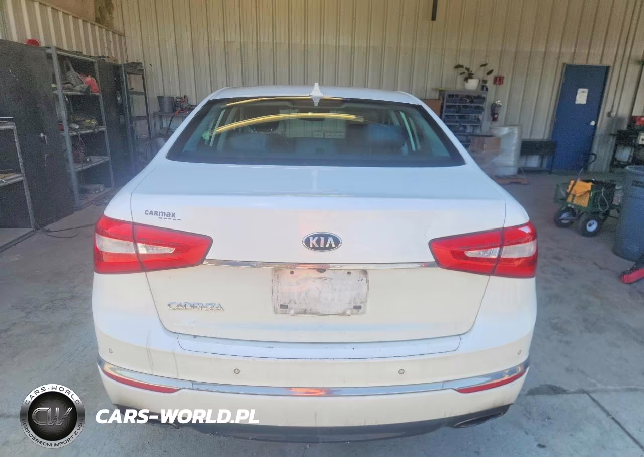 2014 Kia Cadenza Premium VIN:KNALN4D73E5164105 - 6