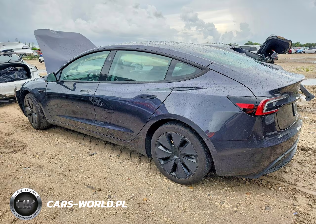 2025 Tesla Model 3 VIN:5YJ3E1EA6SF977203 - 2