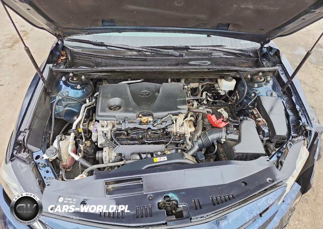 2019 Toyota Camry Le VIN:4T1B11HK3KU288976 - 11