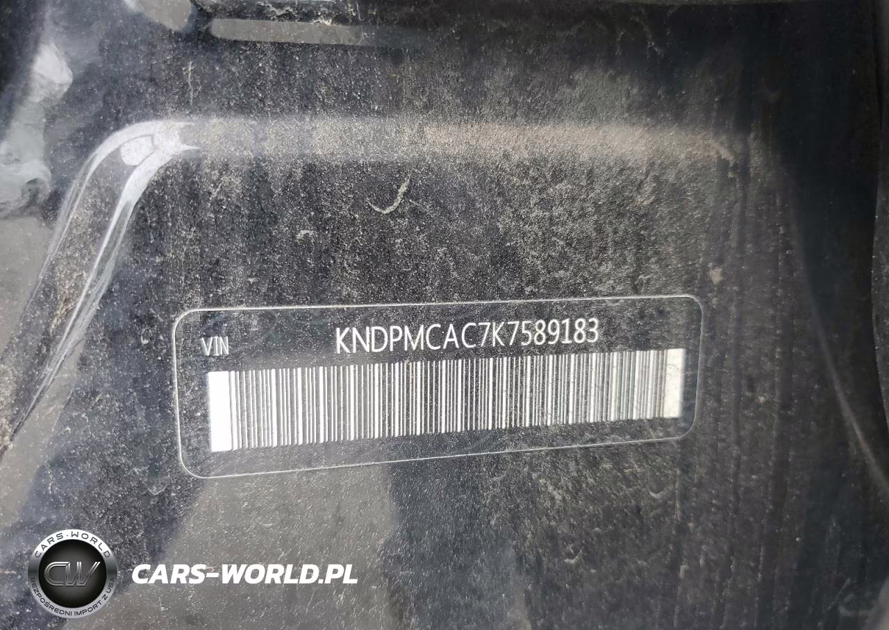 2019 Kia Sportage Lx VIN:KNDPMCAC7K7589183 - 13