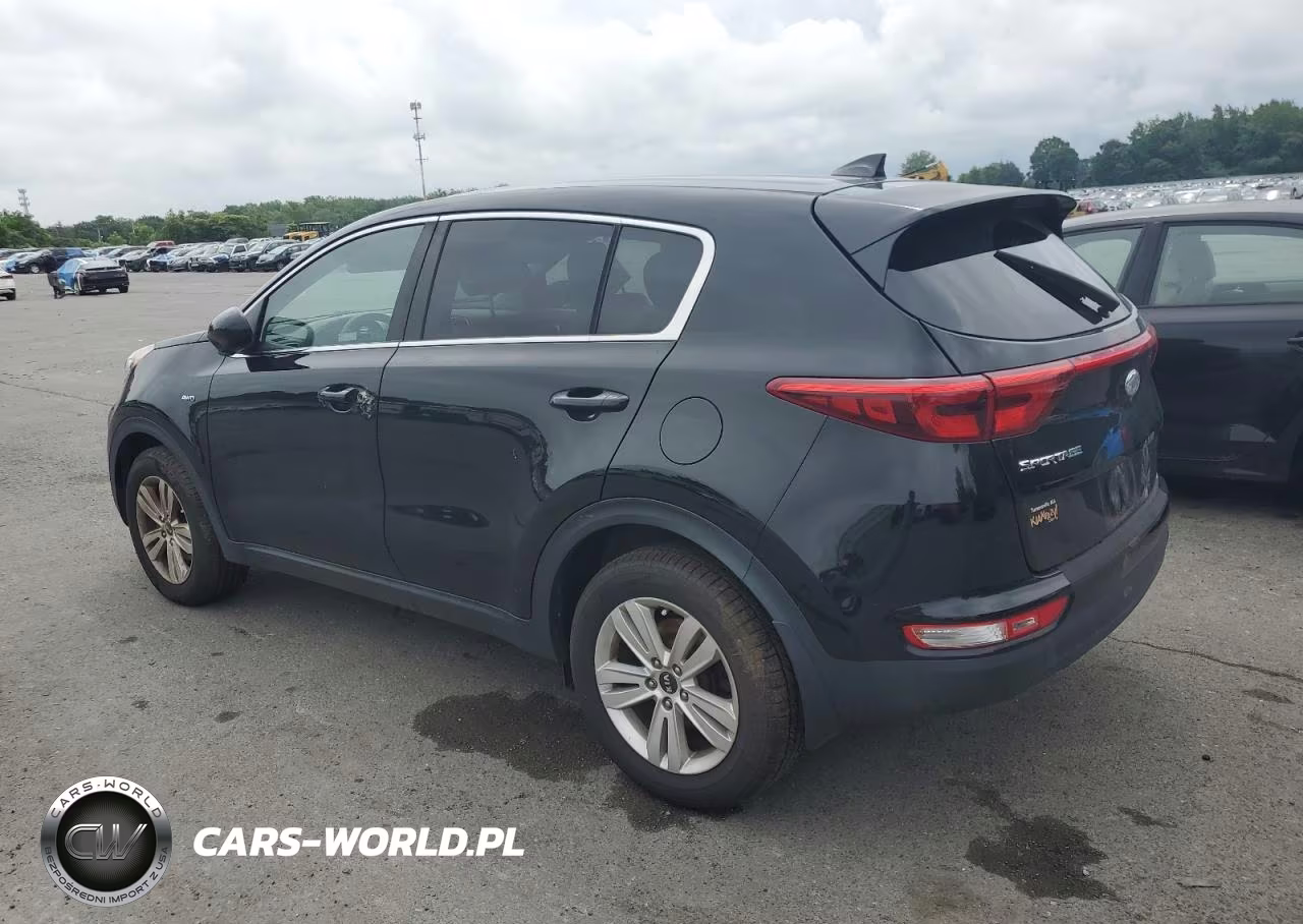 2019 Kia Sportage Lx VIN:KNDPMCAC7K7589183 - 2