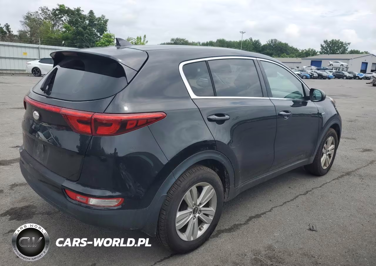 2019 Kia Sportage Lx VIN:KNDPMCAC7K7589183 - 3